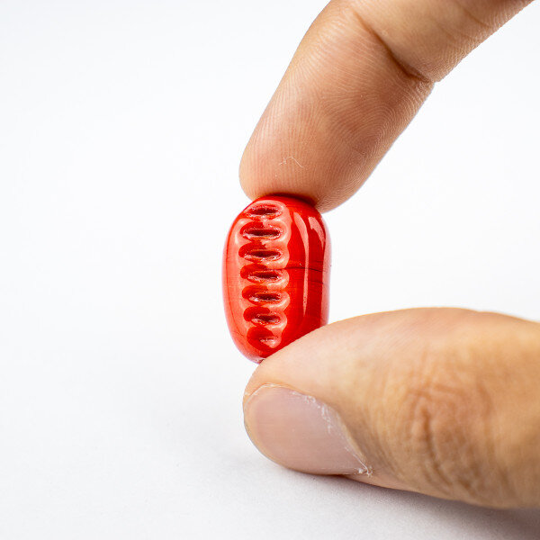 Firma Murano Vermelho Búzios 22mm - Unidade Firma Murano Vermelho Búzios 22mm - Unidade
